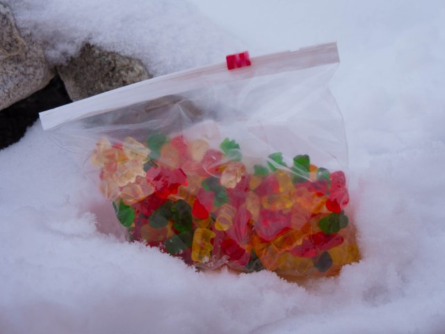 gummy bears